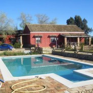 3 Preciosas casas en Lora del Río!!